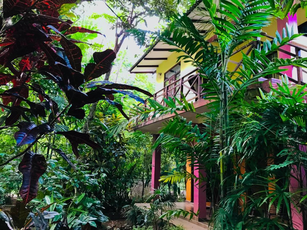 Gangadiya Lodge Sigiriya Bagian luar foto